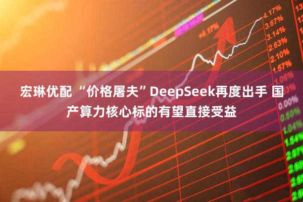 宏琳优配 “价格屠夫”DeepSeek再度出手 国产算力核心标的有望直接受益