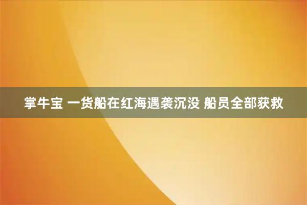 掌牛宝 一货船在红海遇袭沉没 船员全部获救