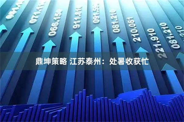鼎坤策略 江苏泰州：处暑收获忙